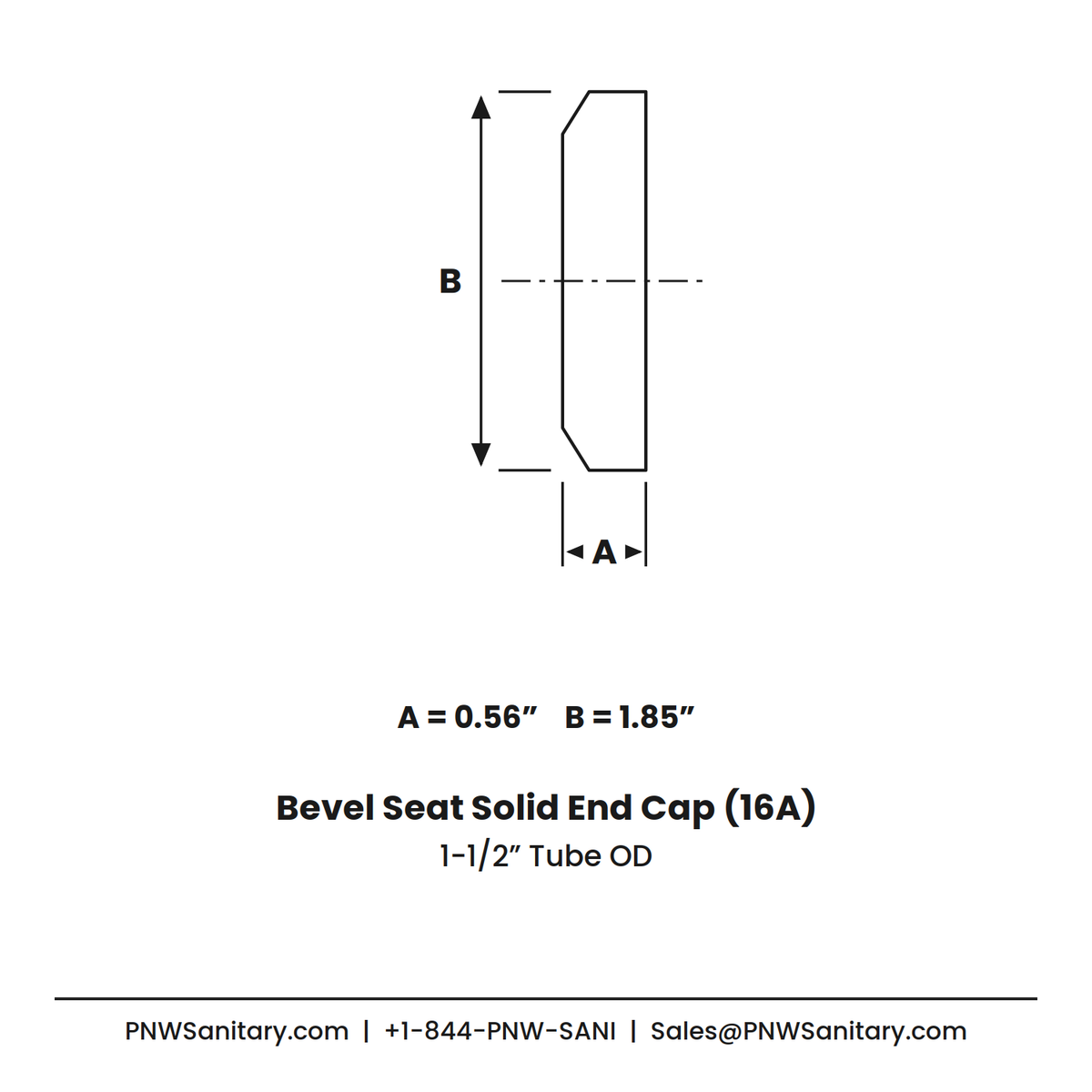 1.500" Bevel Seat Solid End Cap - (16A) - 304 Stainless