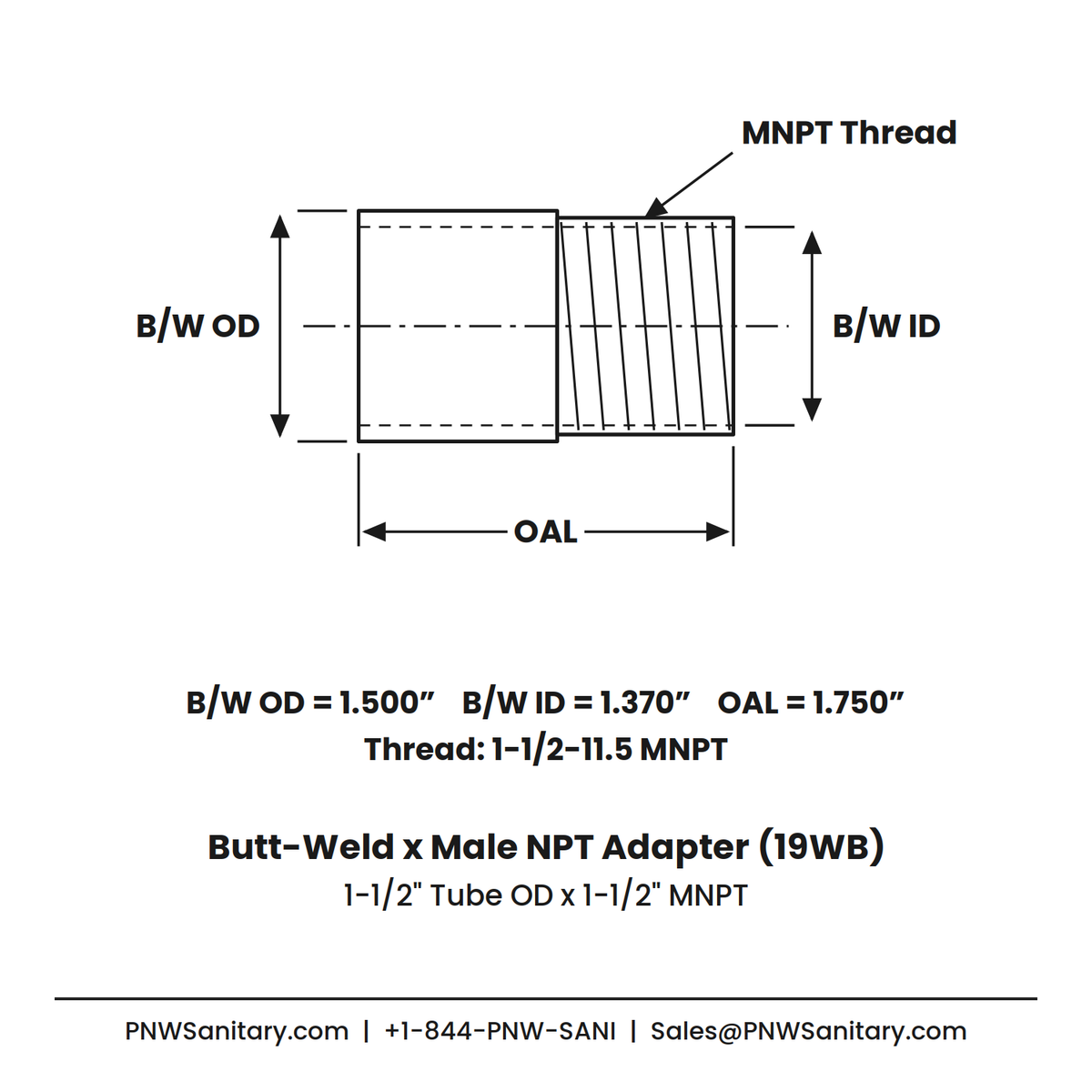 Butt-Weld x Male NPT Adapter - 1.500" OD Butt-Weld x 1-1/2" MNPT - (19WB) - 304 Stainless