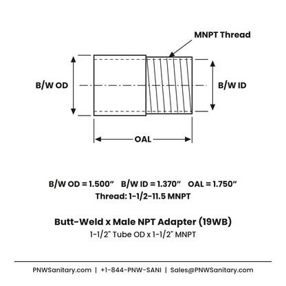 Butt-Weld x Male NPT Adapter - 1.500" OD Butt-Weld x 1-1/2" MNPT - (19WB) - 304 Stainless