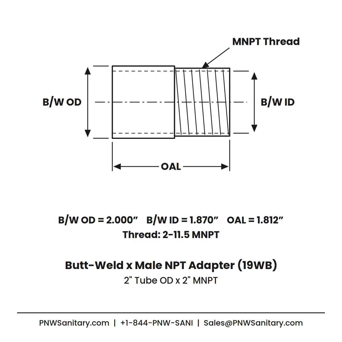 Butt-Weld x Male NPT Adapter - 2.000" OD Butt-Weld x 2" MNPT - (19WB) - 304 Stainless
