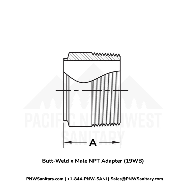 Butt-Weld x Male NPT Adapter - 3.000" OD Butt-Weld x 3" MNPT - (19WB) - 304 Stainless