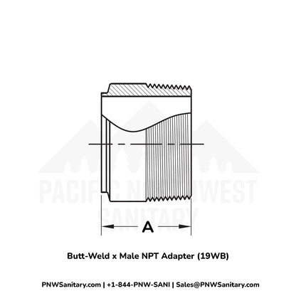Butt-Weld x Male NPT Adapter - 3.000" OD Butt-Weld x 3" MNPT - (19WB) - 304 Stainless